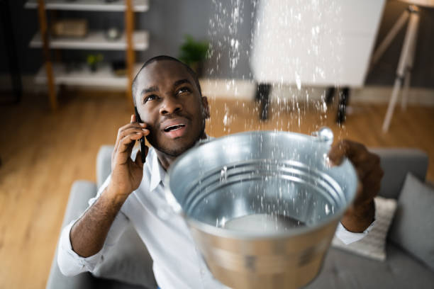 Best Flood restoration services  in Mccullom Lake, IL