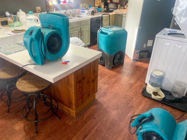 Best Carpet water damage restoration  in Mccullom Lake, IL