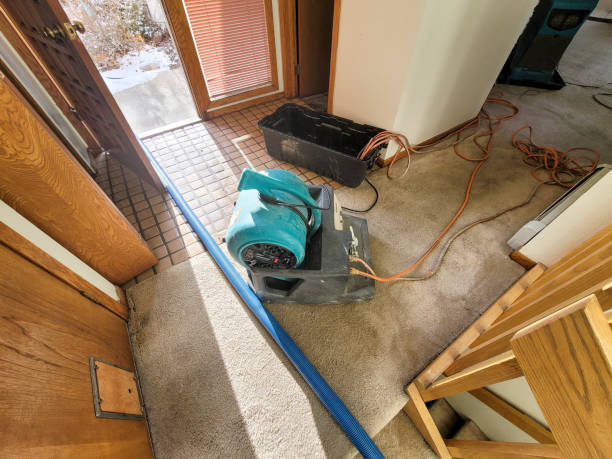Best Ceiling water damage repair  in Mccullom Lake, IL