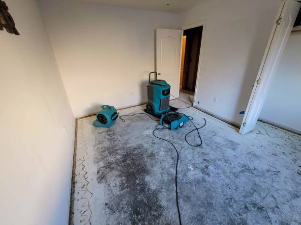 Best Flooded house restoration  in Mccullom Lake, IL