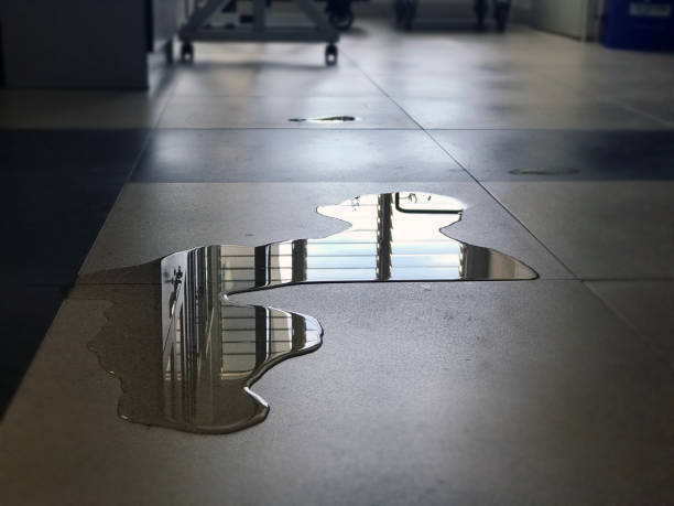 Best Professional water damage repair  in Mccullom Lake, IL