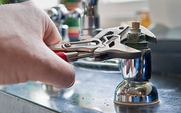 Best Mold removal after water damage  in Mccullom Lake, IL