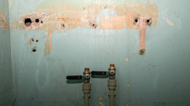 Best Local water damage restoration  in Mccullom Lake, IL
