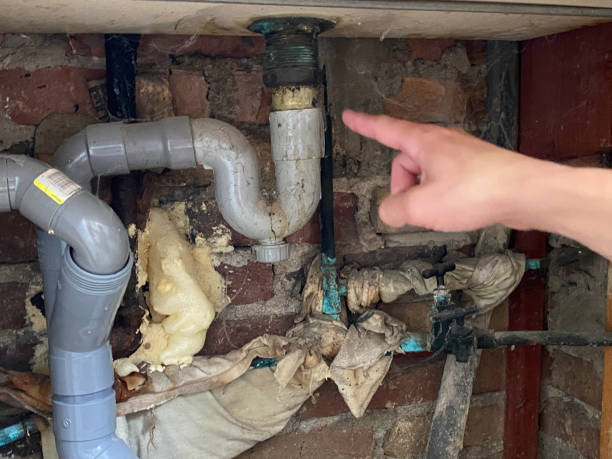 Best 24-hour water damage restoration  in Mccullom Lake, IL