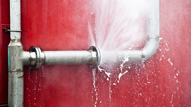 Best Flood restoration services  in Mccullom Lake, IL